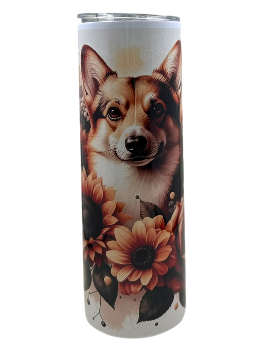 Corgi